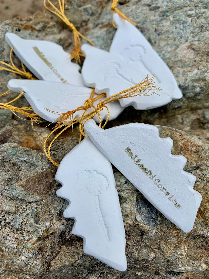 Support Corse pour Huiles essentielles
